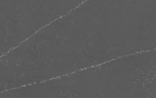 Felisia (disambiguation)